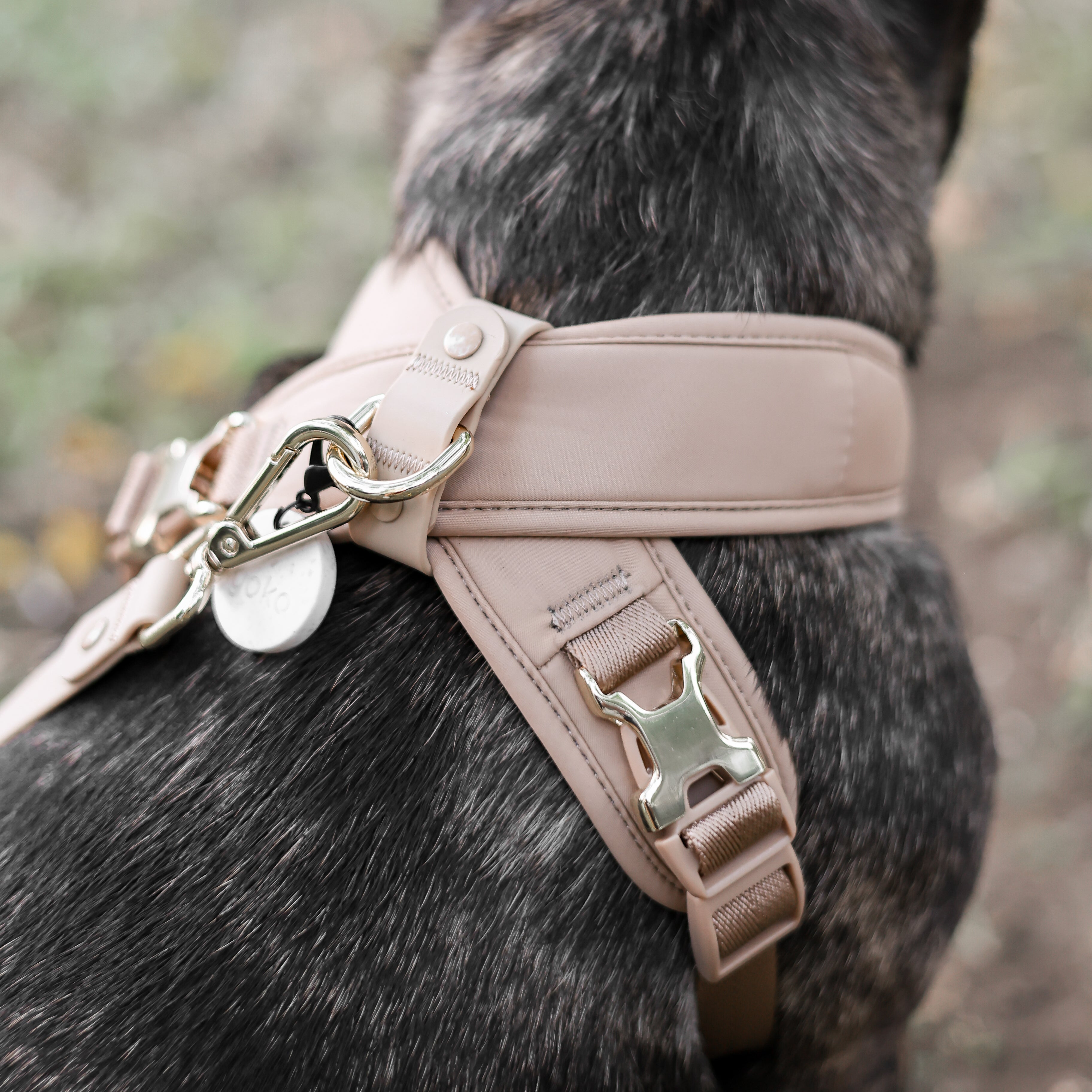 Roam Luxe Harness ベージュ