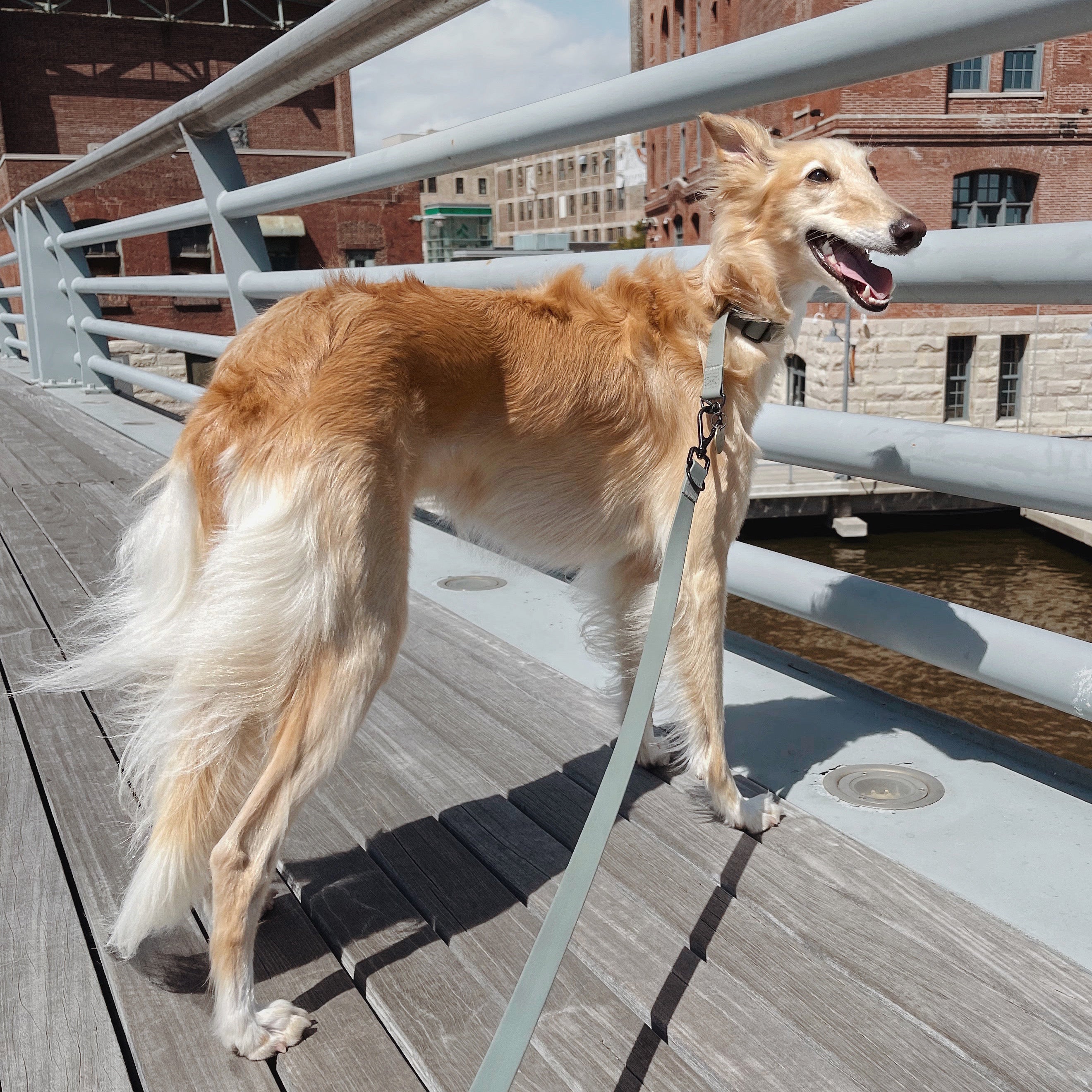 NOMAD 超軽量ロングリーシュ DUNES（在庫限り）