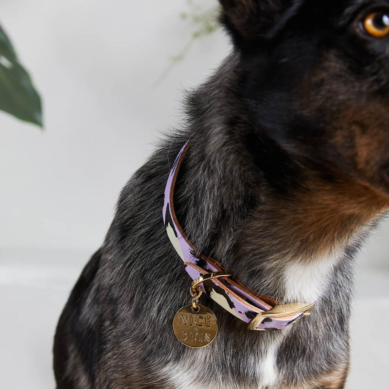 ANIMAL DOG COLLAR LILAC