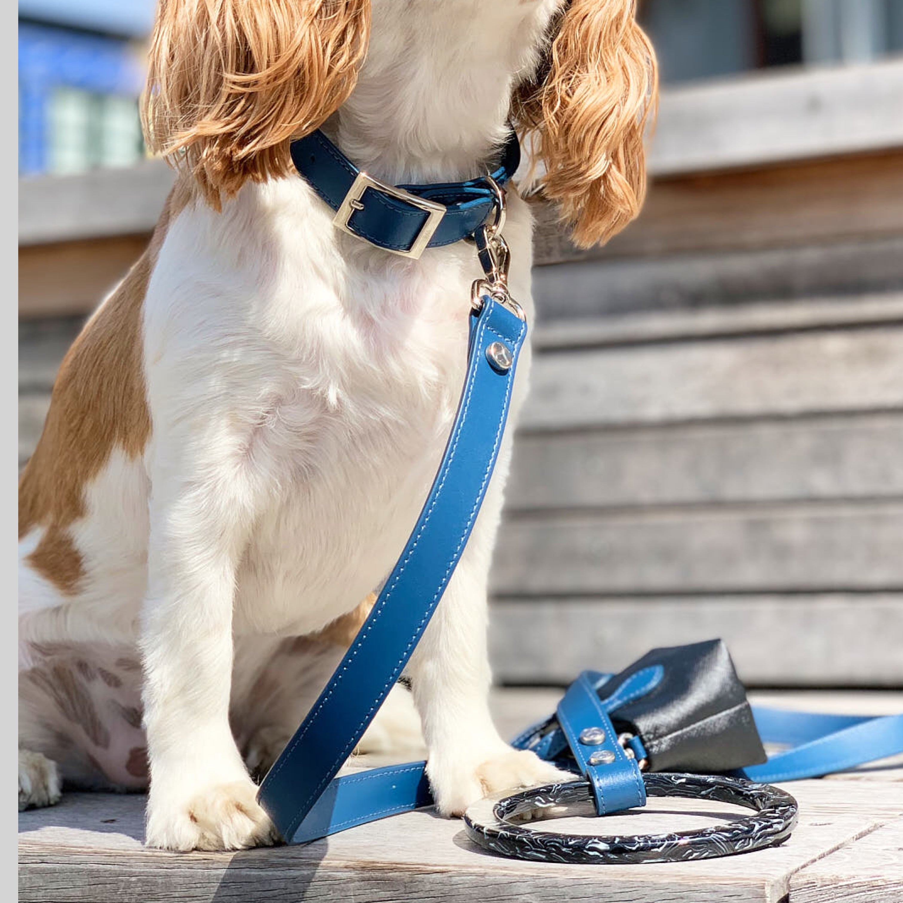 SHAYA テイラーカラー コバルト