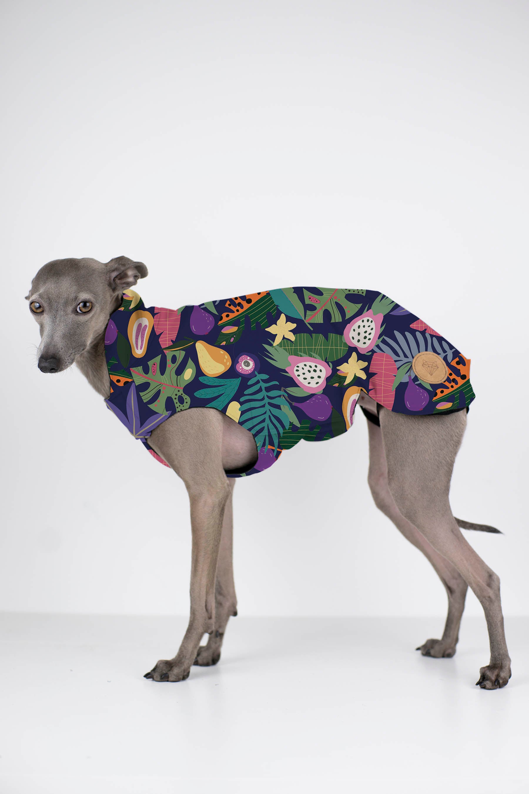 City Breeze dog raincoat™️ ドッグレインコート トロピカーナ