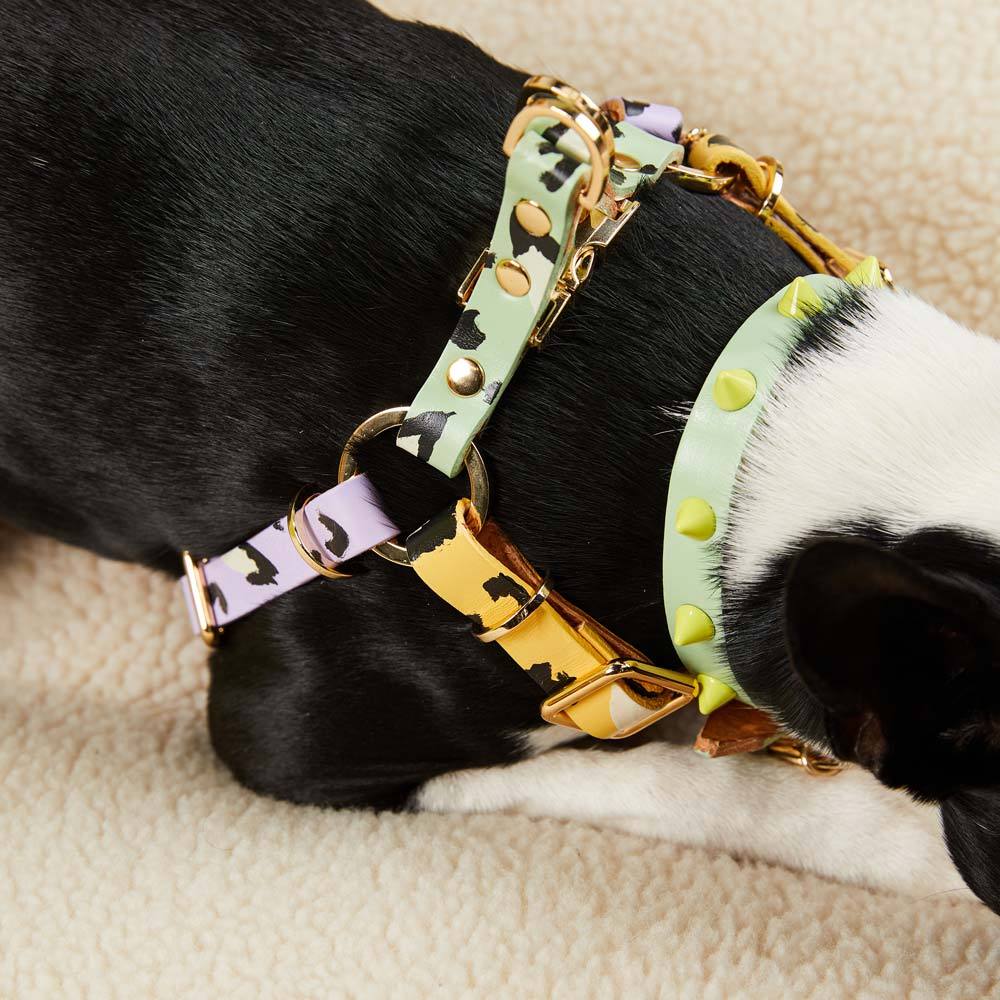 ANIMAL DOG HARNESS SORBET XSサイズ
