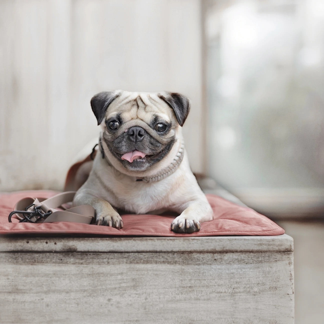 ORII ultra light city travel mat KOALA