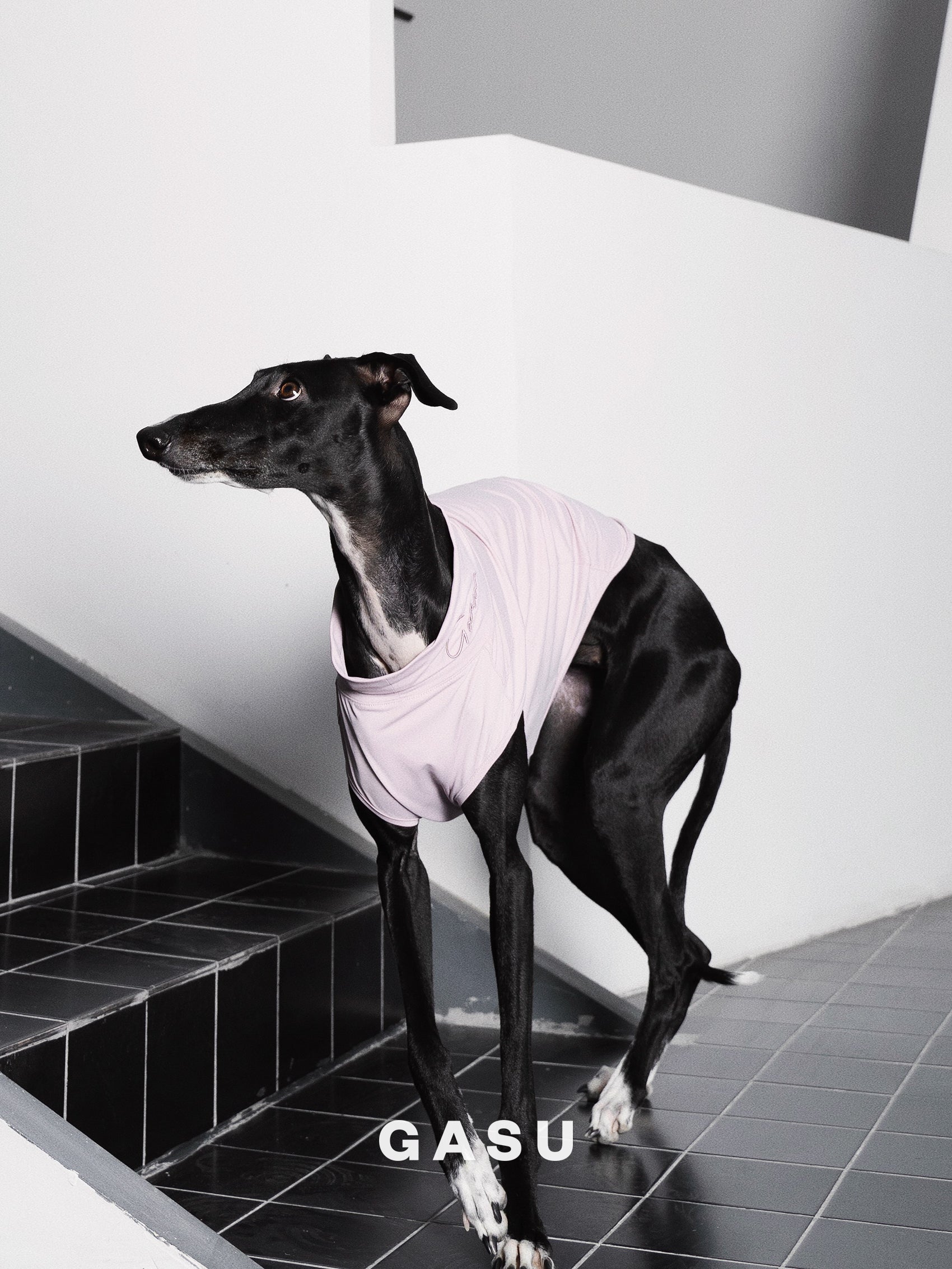 【全犬種対応】Nude UPF50+ Cooling Vest モーブ