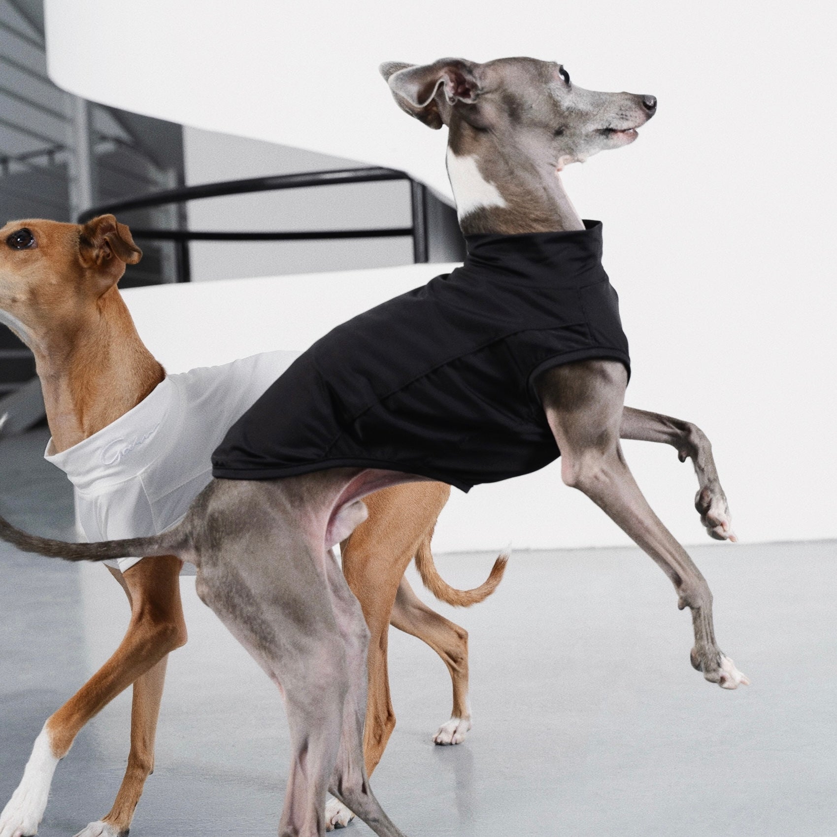 【全犬種対応】Nude UPF50+ Cooling Vest ブラック