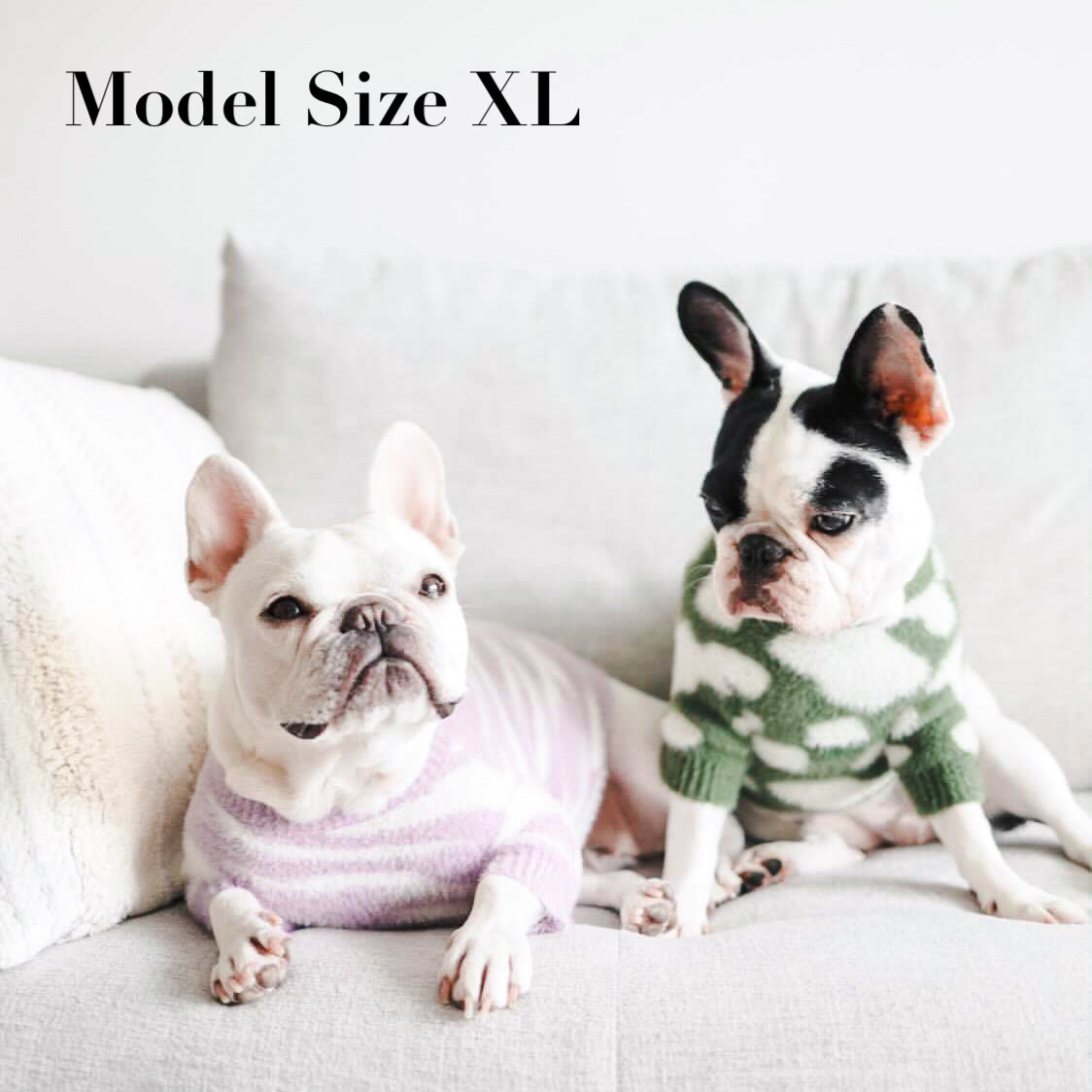 ソフトクラウドセーター　Zebra