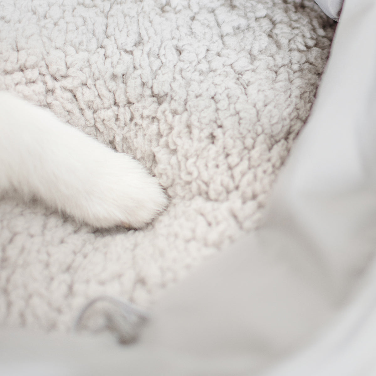 OLLA PETITE PET CARRYCOT FERN