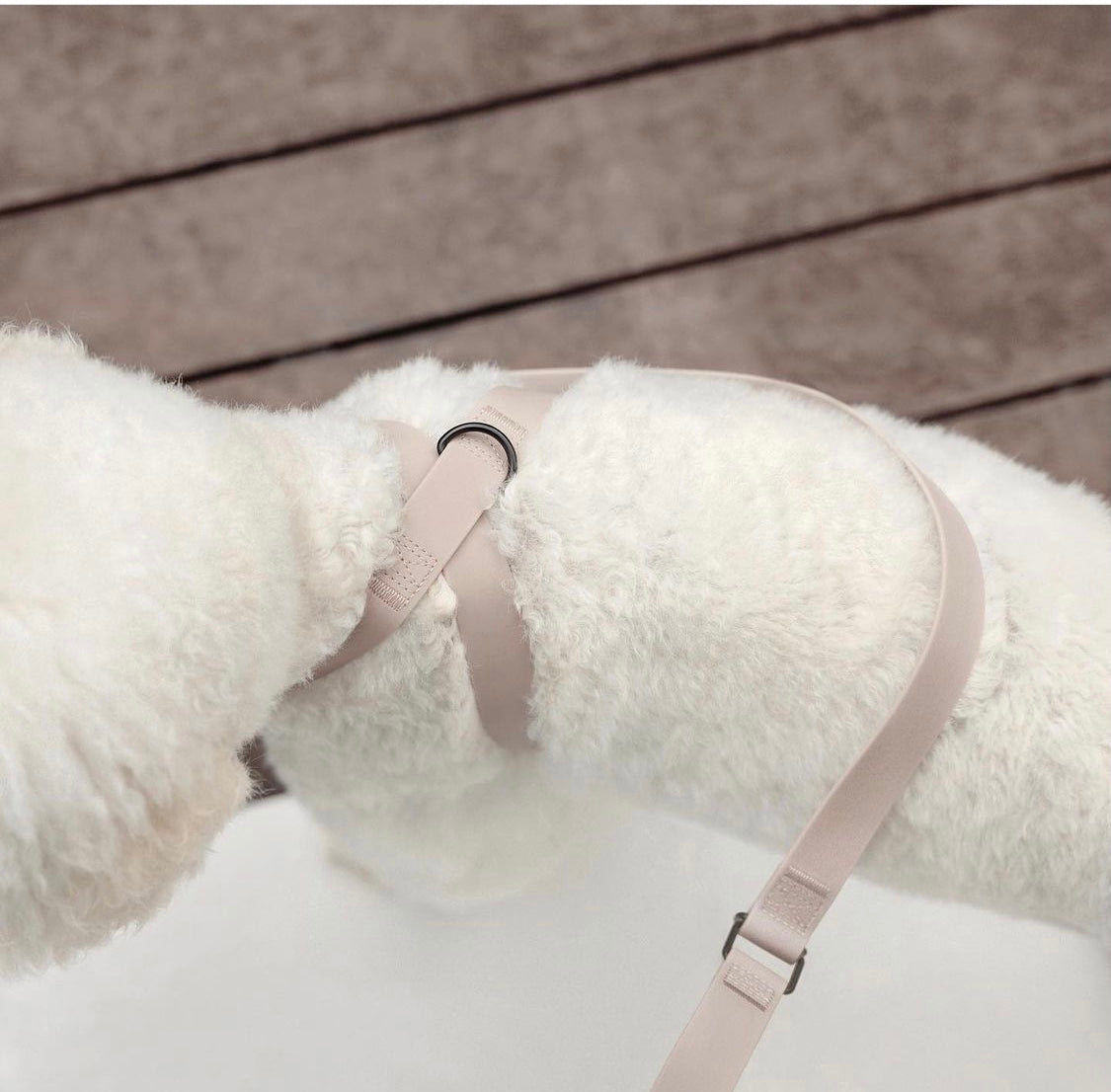 OTTO DOG HARNESS CABIN