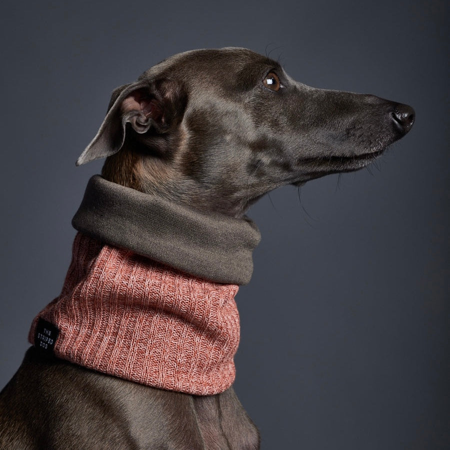 LANCASTER リバーシブル リングスカーフ オレンジ×ダークグリーン Lサイズ