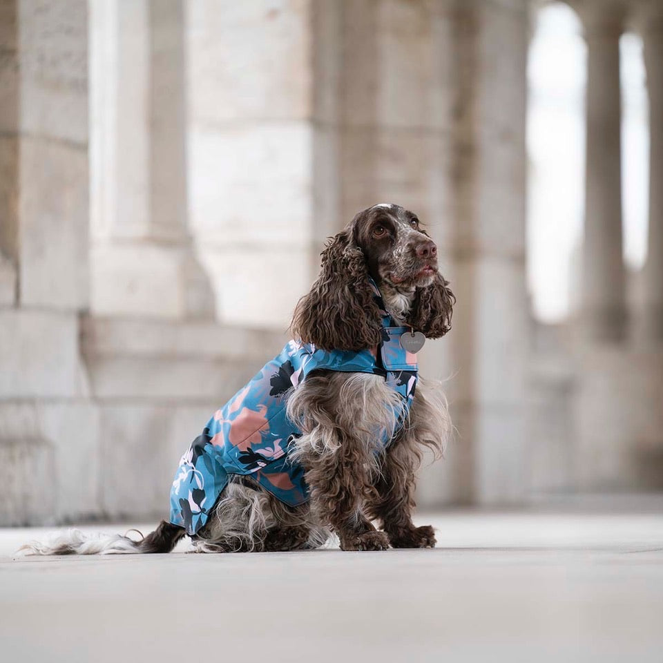 City Breeze dog raincoat™️ ドッグレインコート サマーストーム