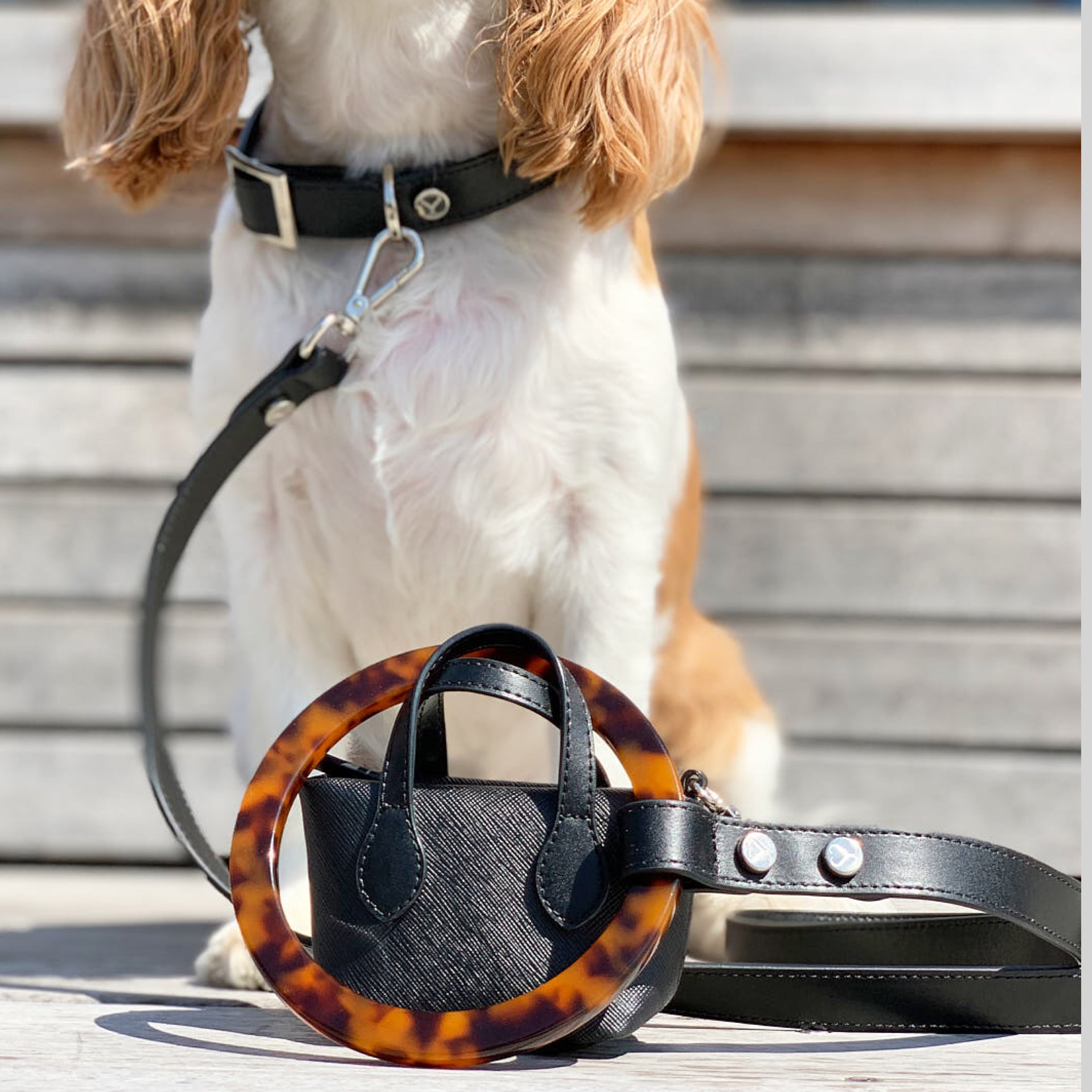 SHAYA テイラーカラー ブラック