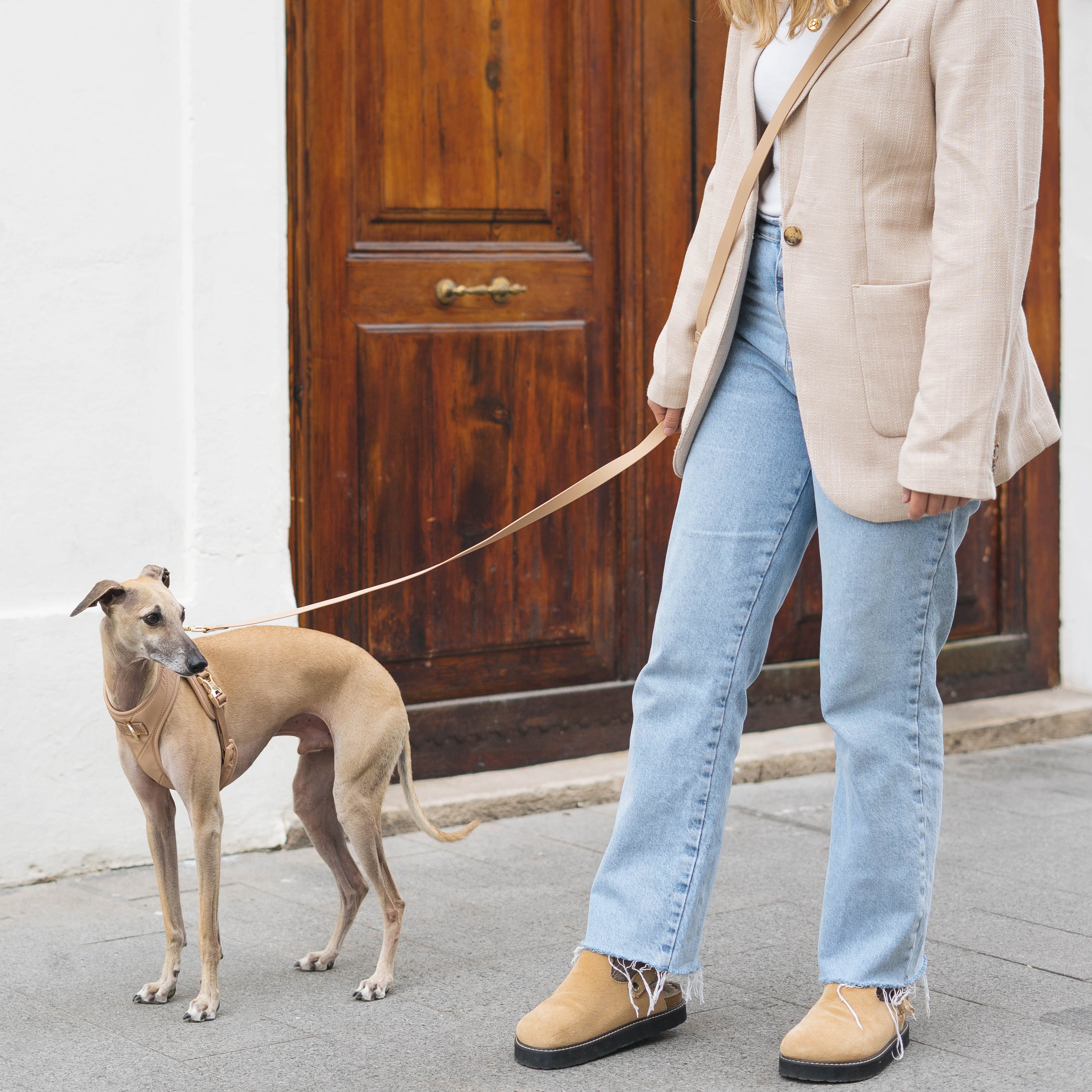 Roam Luxe Harness ベージュ