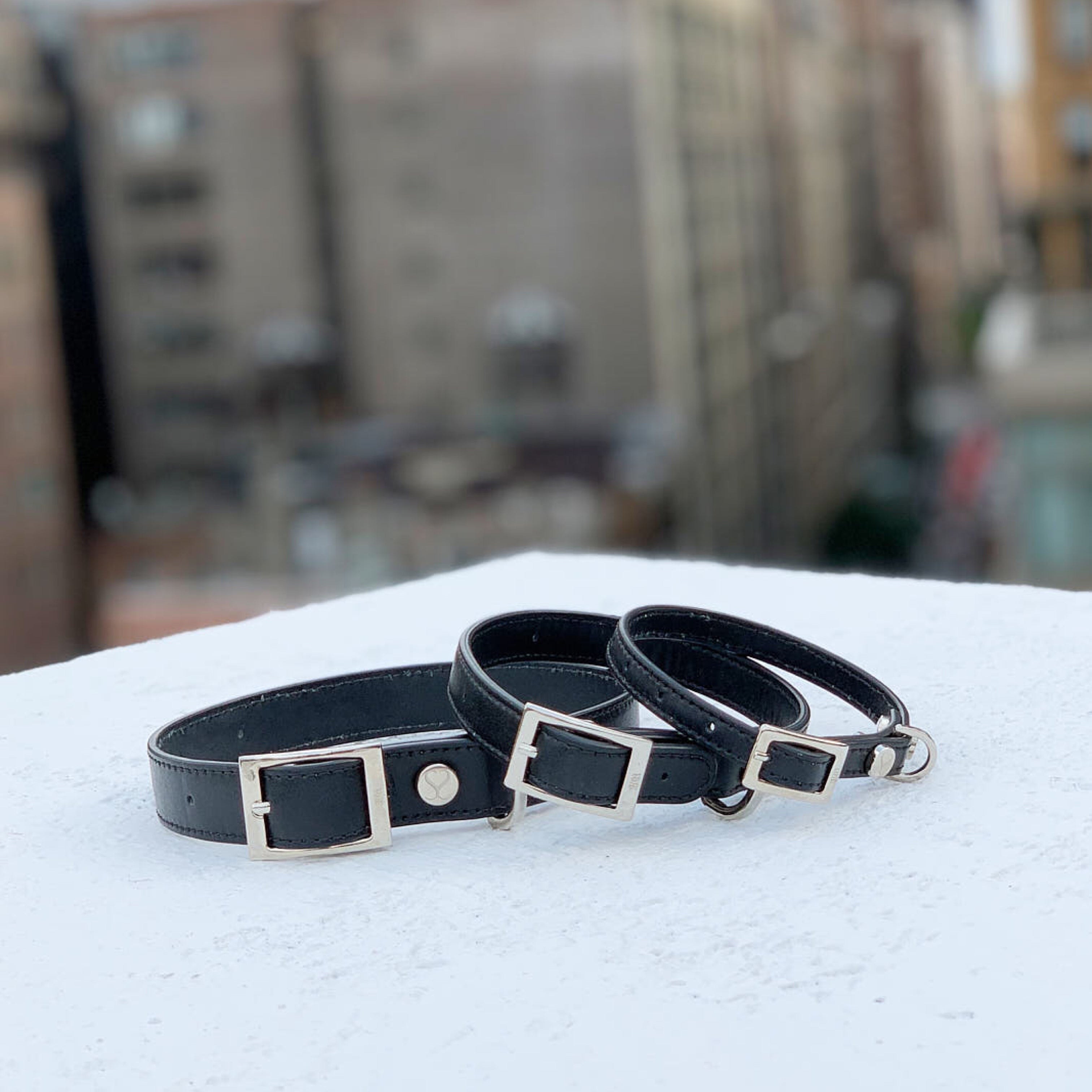 SHAYA テイラーカラー ブラック