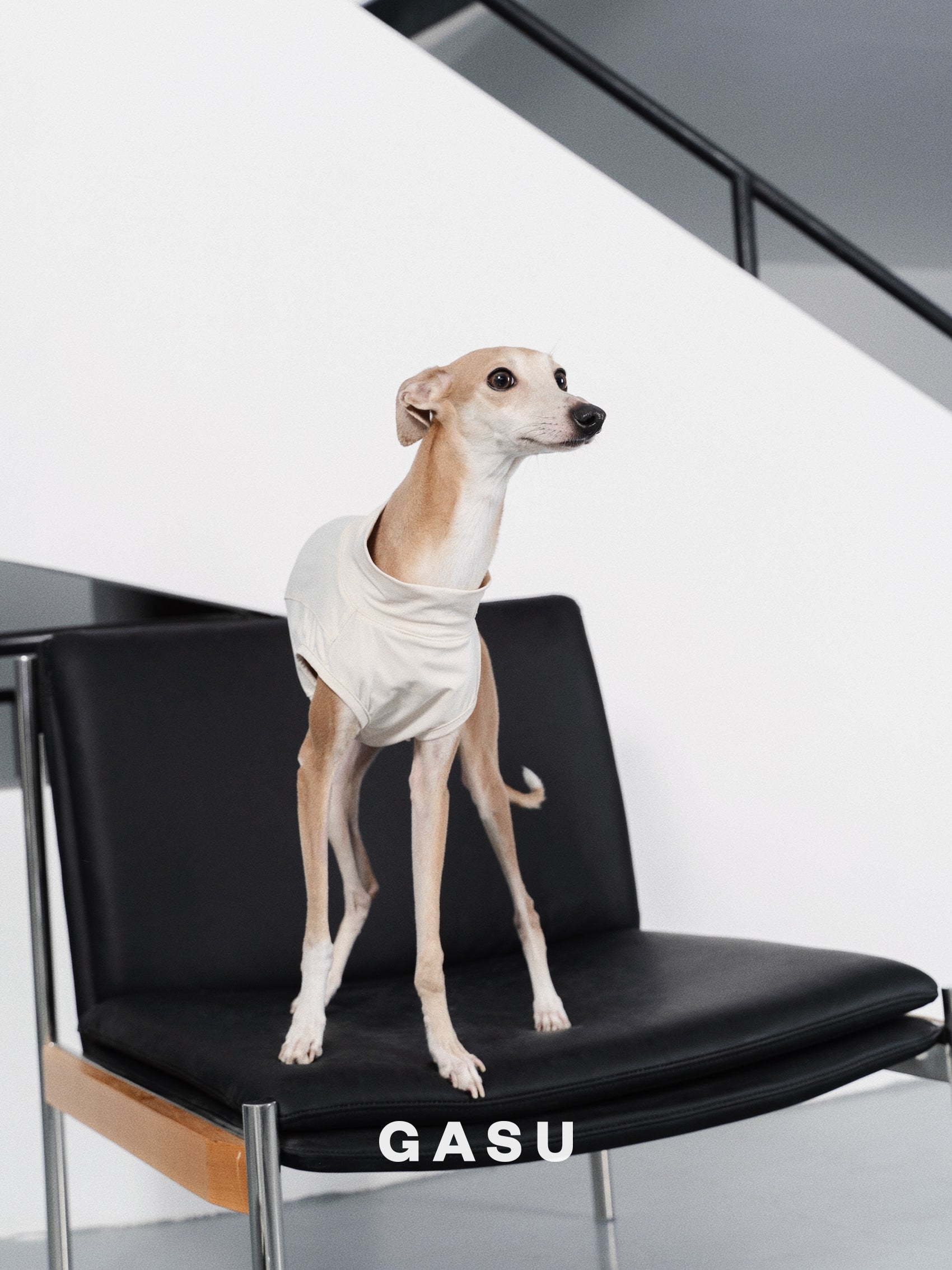 【全犬種対応】Nude UPF50+ Cooling Vest ライトベージュ