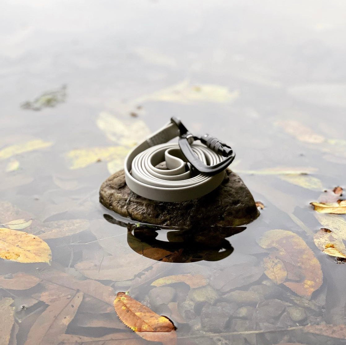 APEX Ultralight＋Skinny Leash CABIN