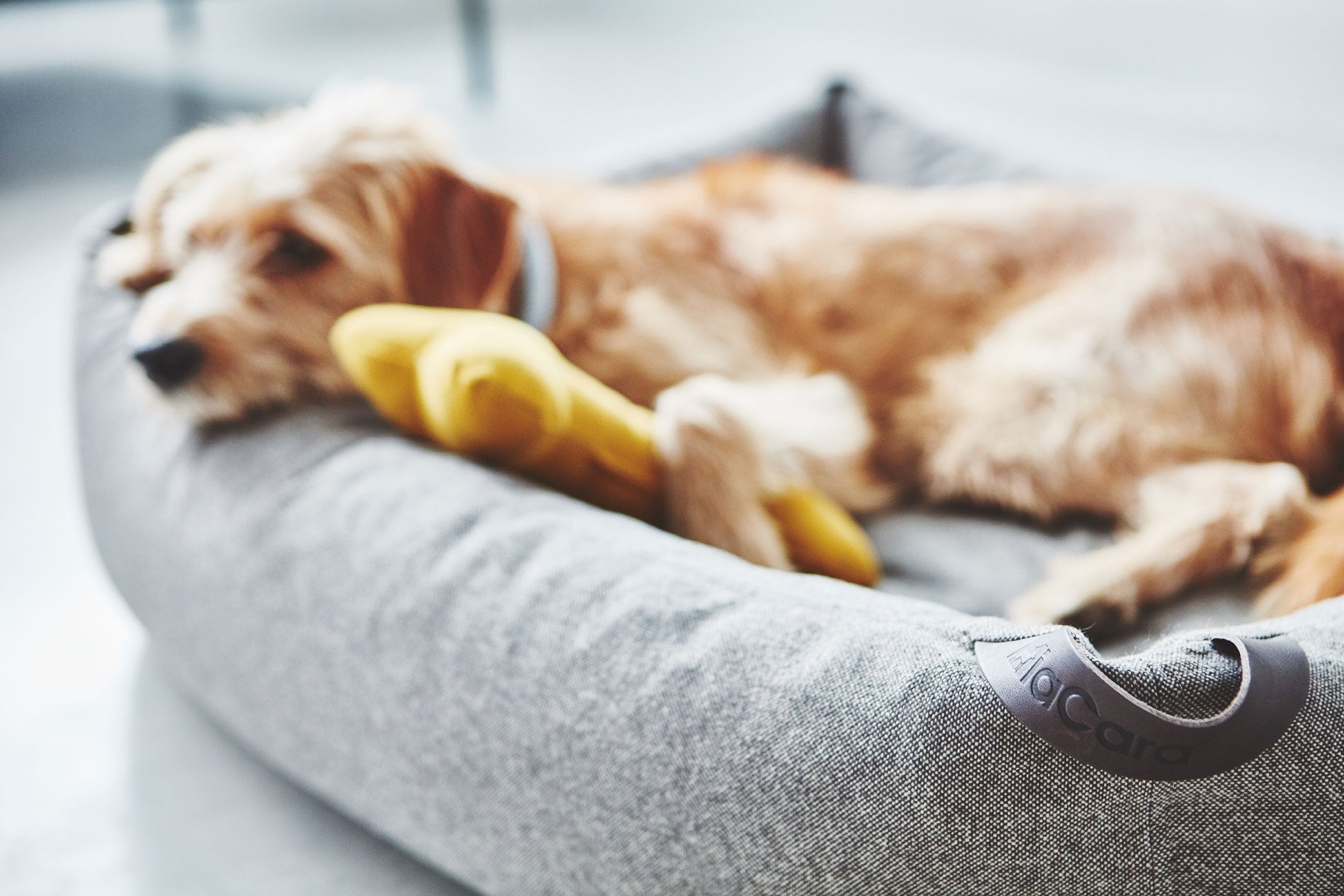 MiaCara ステラボックスドッグベッド モカ Mサイズ