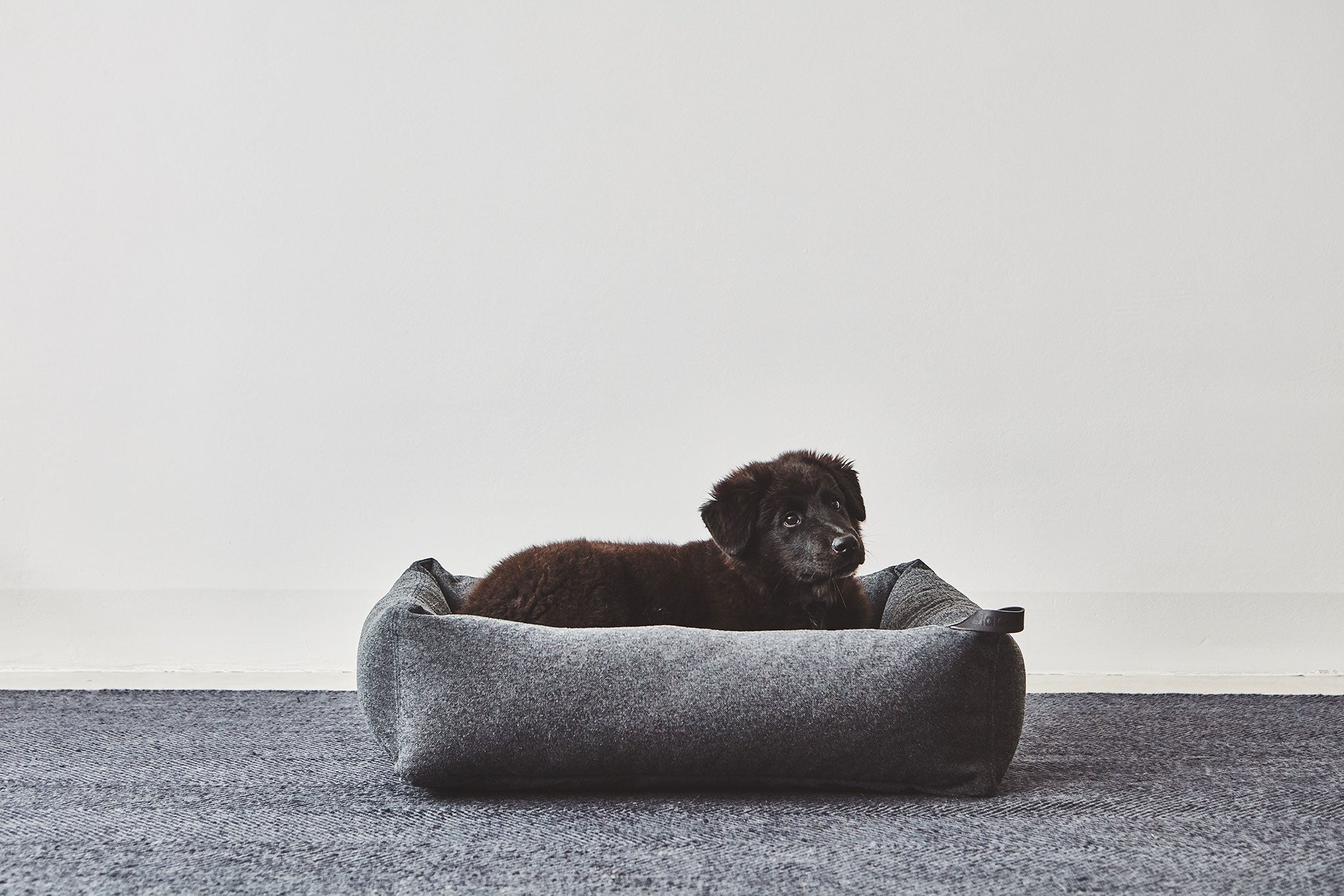 MiaCara ステラボックスドッグベッド アンスラサイト Mサイズ