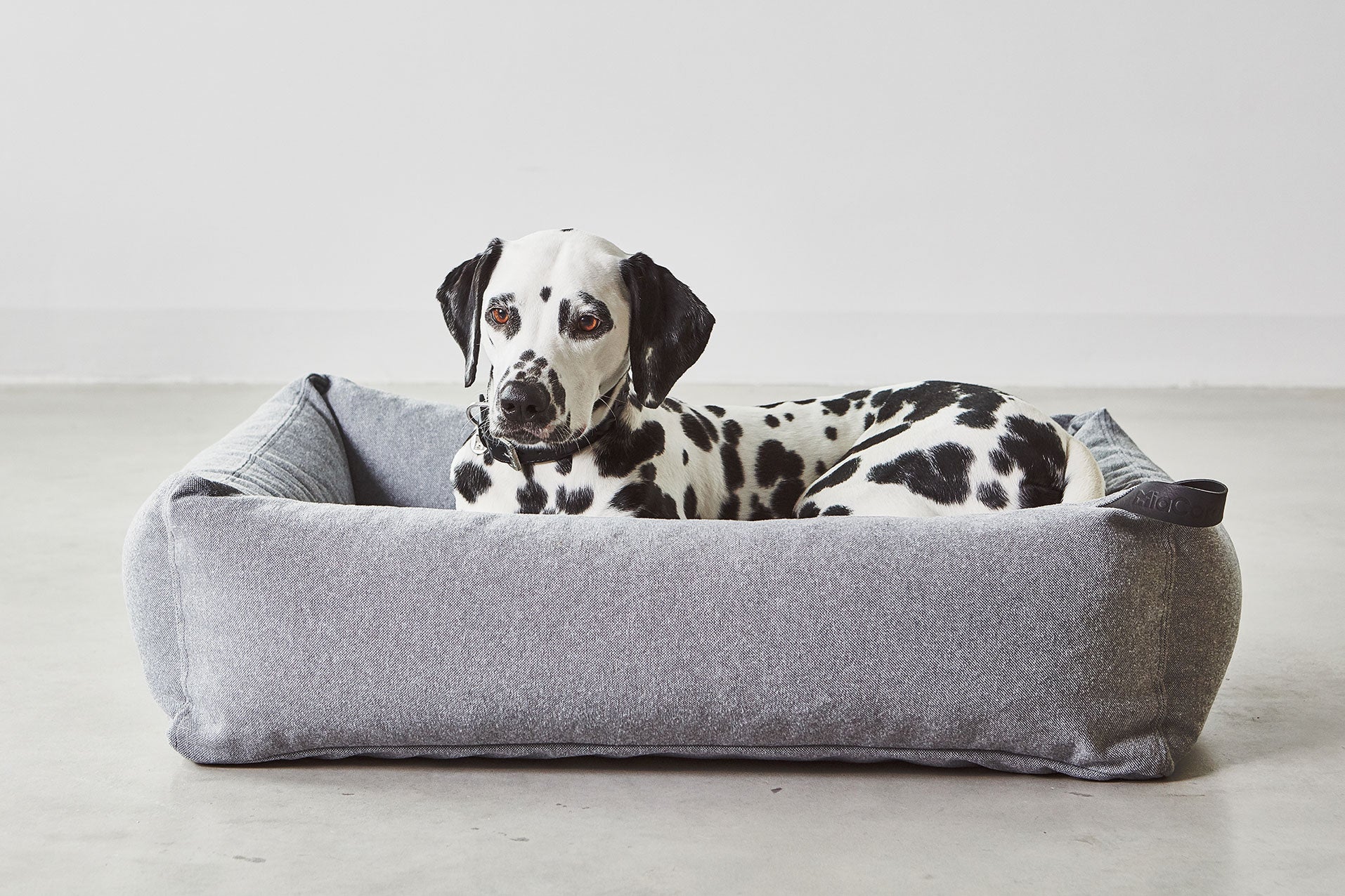 MiaCara ステラボックスドッグベッド スレート SMサイズ