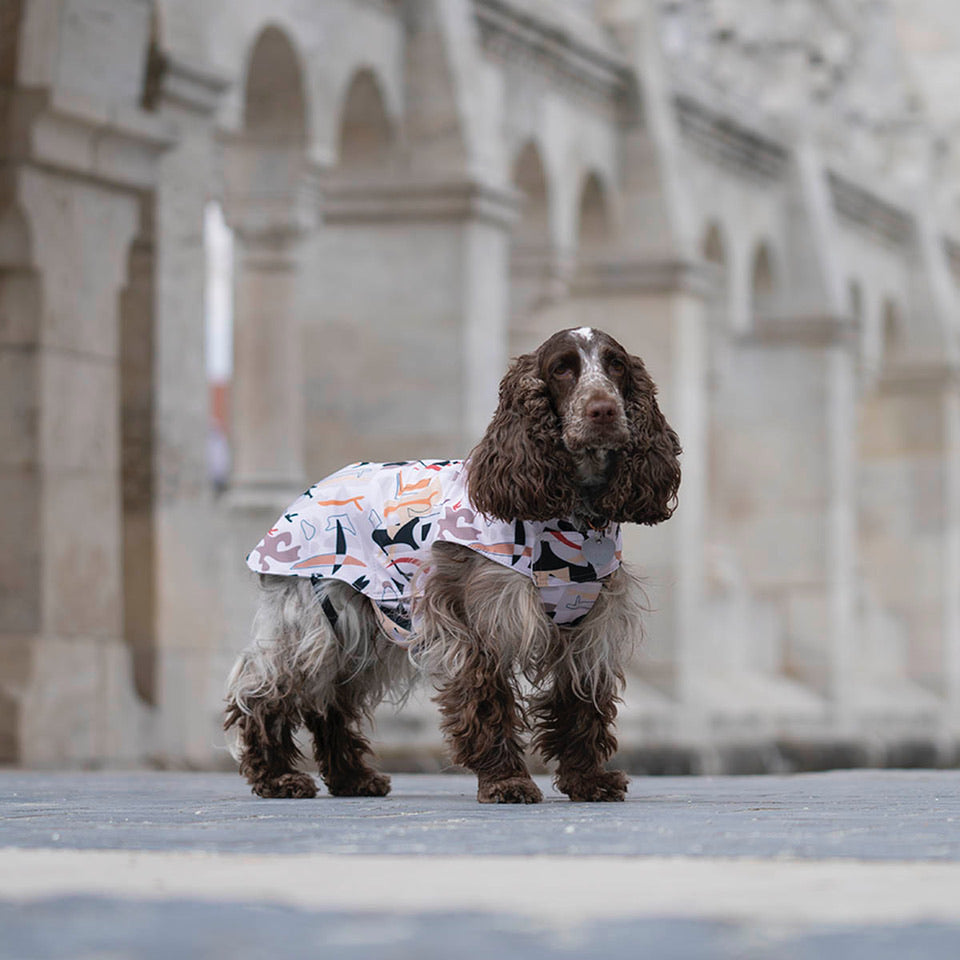 City Breeze dog raincoat™️ ドッグレインコート サバンナ