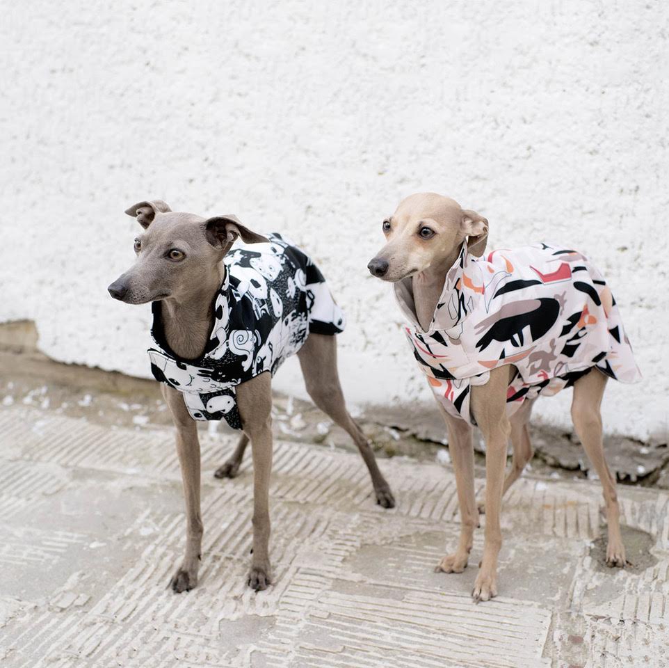 City Breeze dog raincoat™️ ドッグレインコート サバンナ